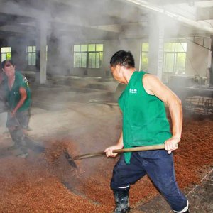 喚醒兩千余條窖池，新的釀酒季由此開始